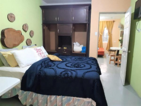 COMFY furnished private apartment.Netflix/internet